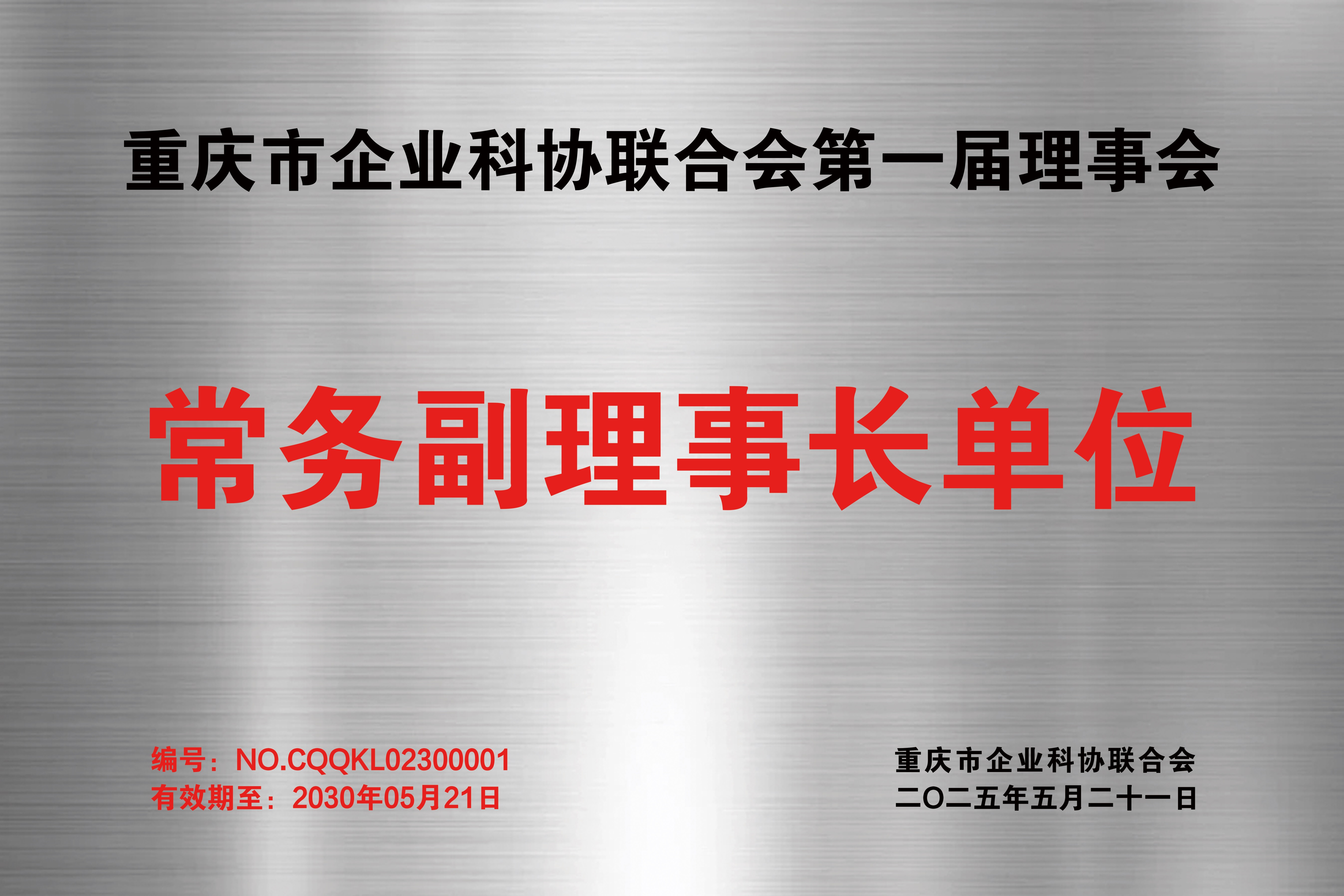 重慶市企業科協聯合會第一屆理事會常務理事長單位.jpg
